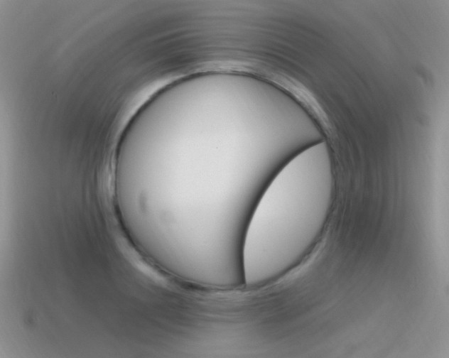 X0000115560844200911061146