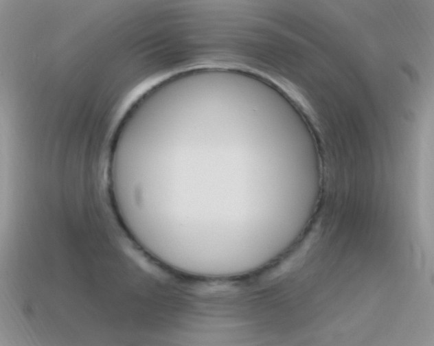 X0000115560846200911061146