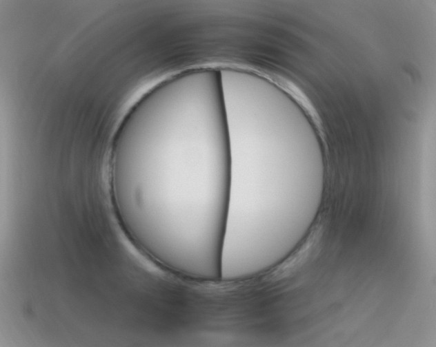 X0000115560847200911061146