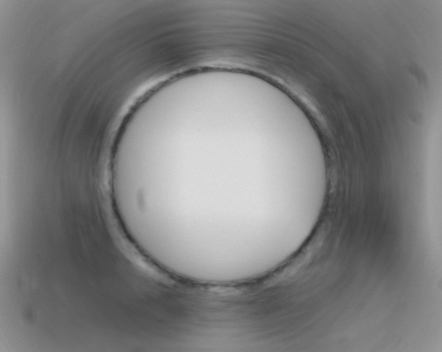 X0000115560848200911061146