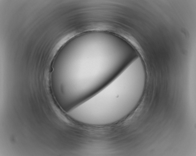 X0000115560850200911061146