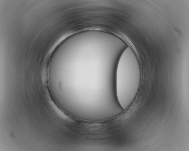 X0000115560851200911061146