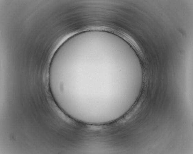 X0000115560852200911061146