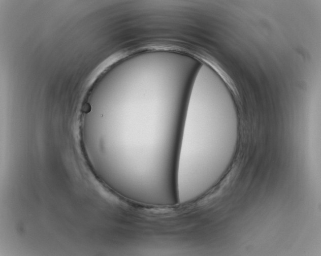 X0000115560853200911061146