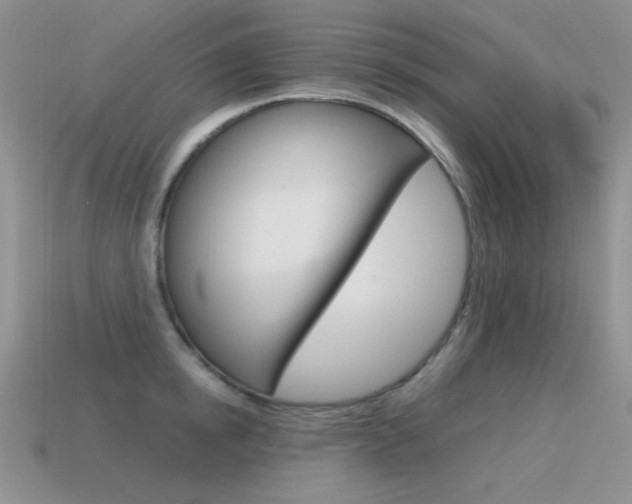 X0000115560854200911061146