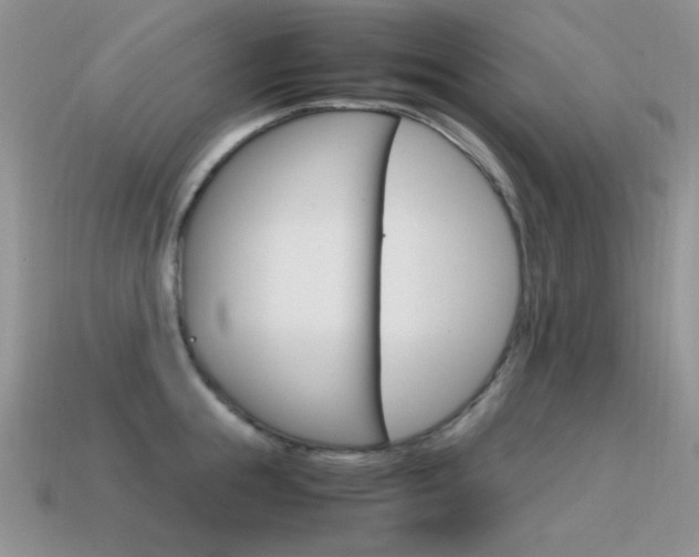X0000115560855200911061146
