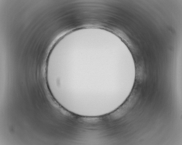 X0000115560856200911061146