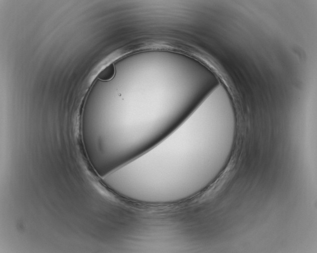X0000115560858200911061146