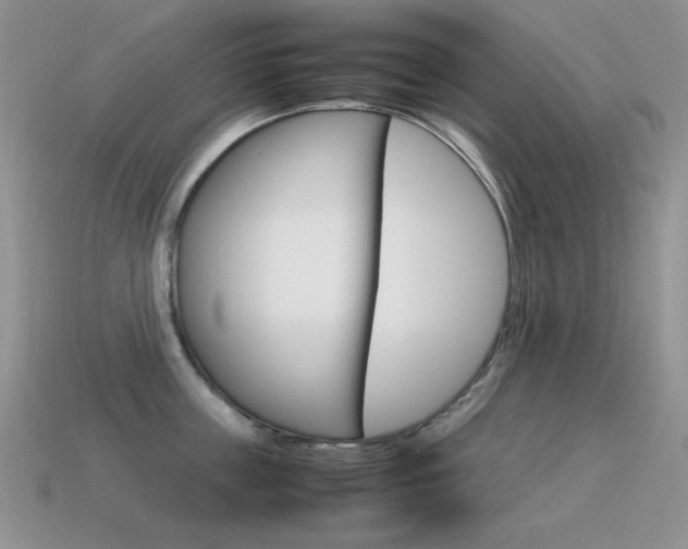 X0000115560859200911061146