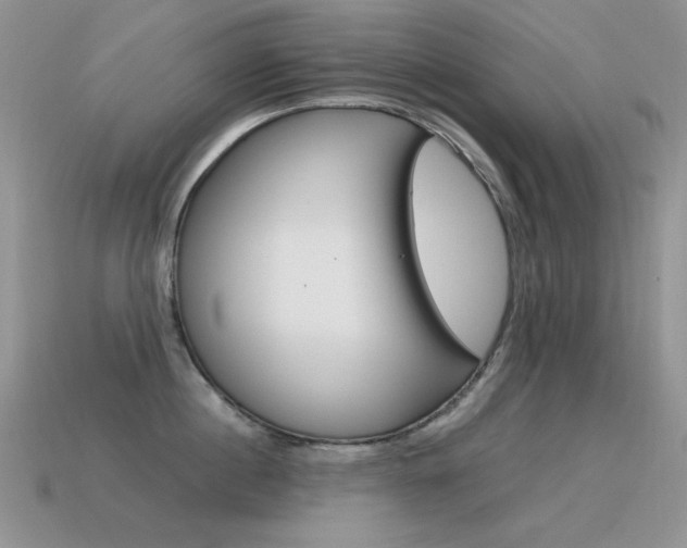X0000115560860200911061146