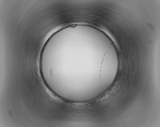 X0000115560861200911061146