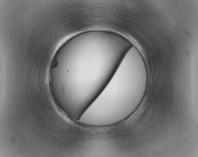 X0000115560862200911061146
