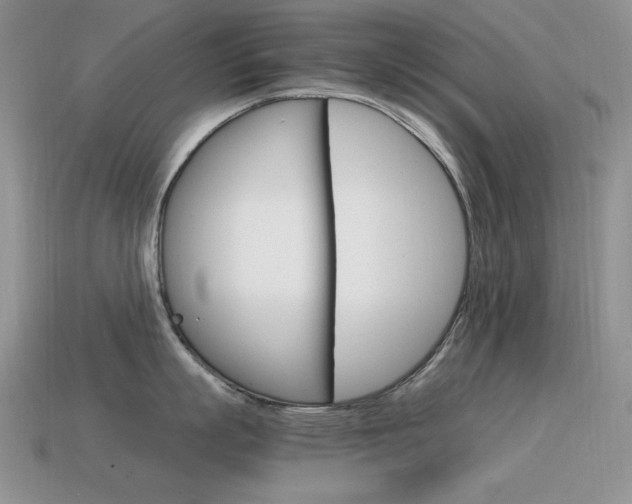 X0000115560863200911061146