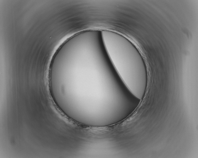 X0000115560864200911061146