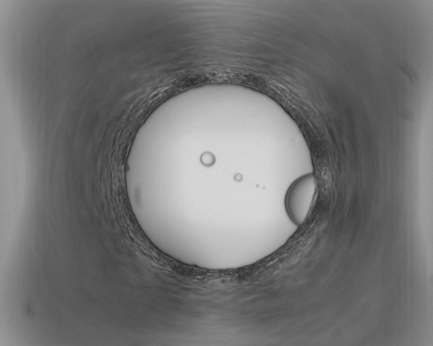 X0000115560865200911061145