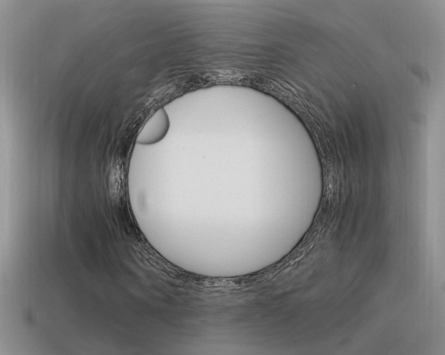 X0000115560866200911061145