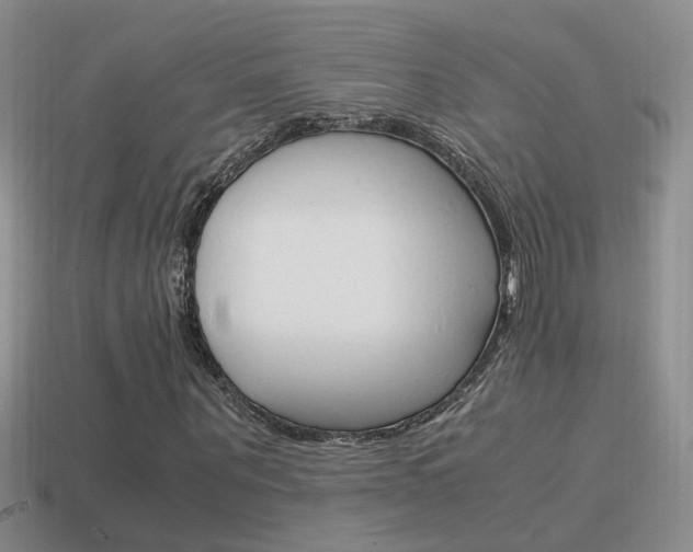 X0000115560867200911061145