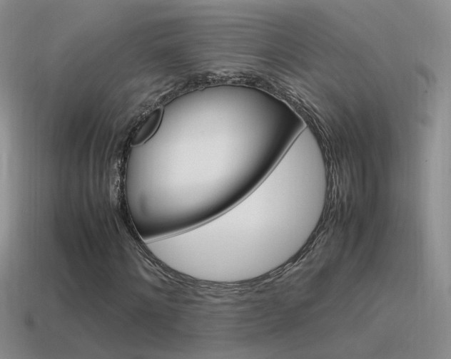 X0000115560868200911061145