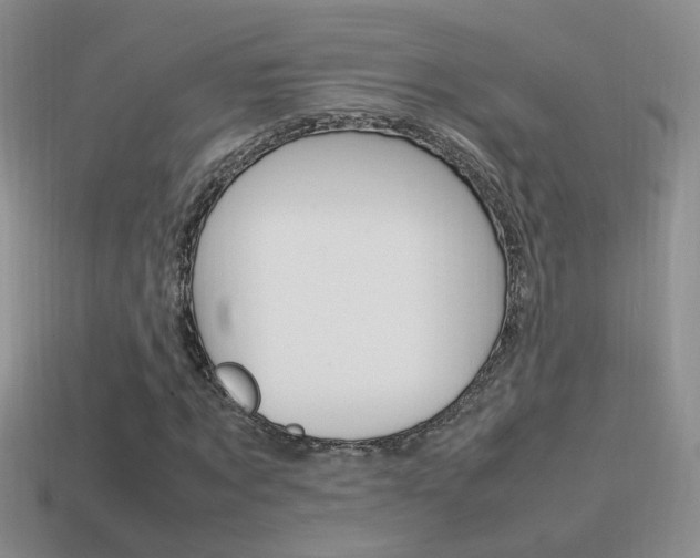 X0000115560869200911061145