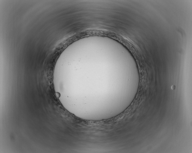 X0000115560870200911061145