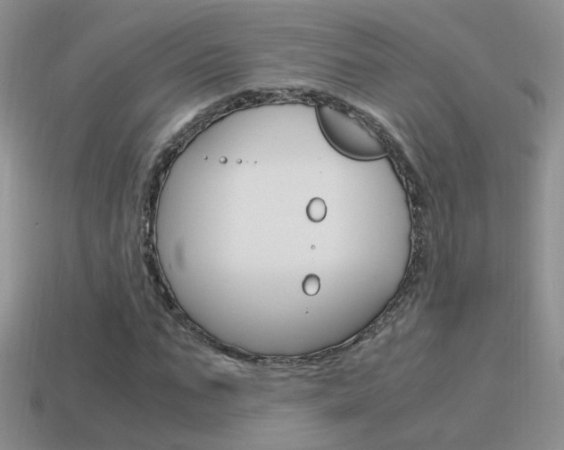 X0000115560871200911061145