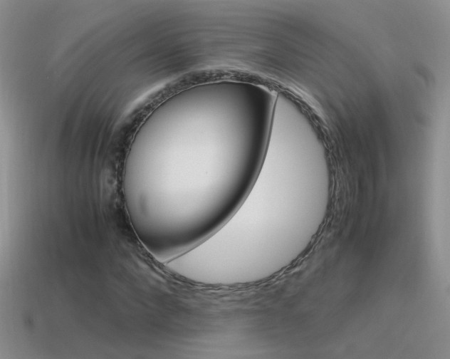 X0000115560872200911061145