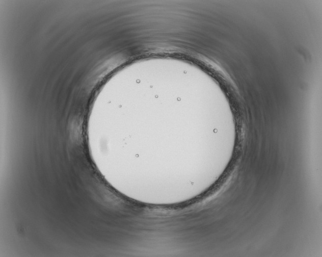 X0000115560873200911061145