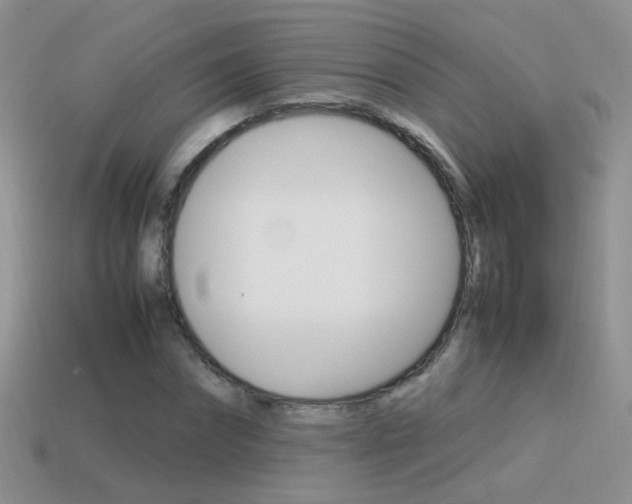 X0000115560874200911061145