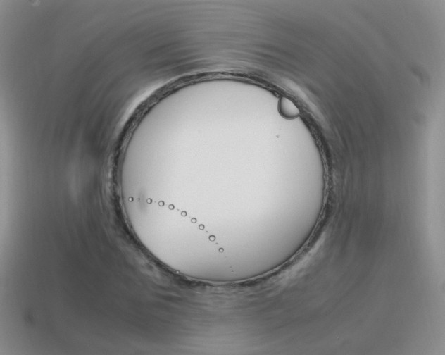 X0000115560875200911061145