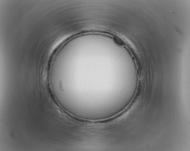 X0000115560877200911061145