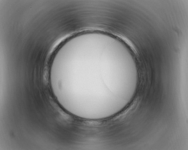 X0000115560878200911061145