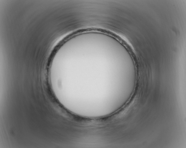 X0000115560879200911061145