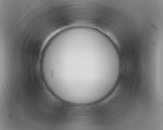 X0000115560880200911061145