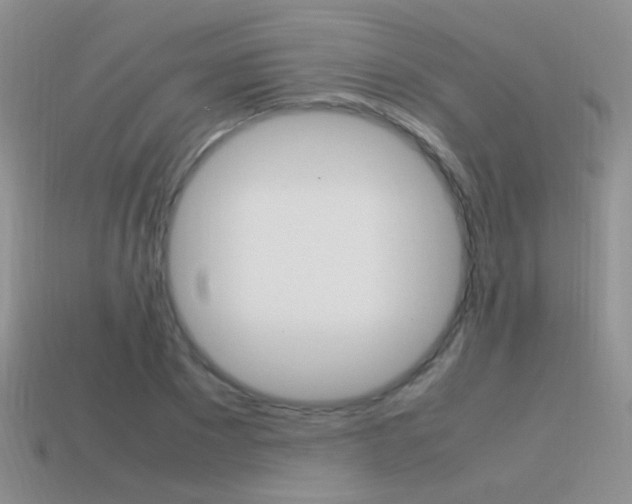 X0000115560881200911061145