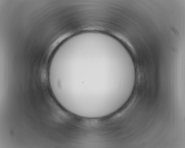 X0000115560882200911061145
