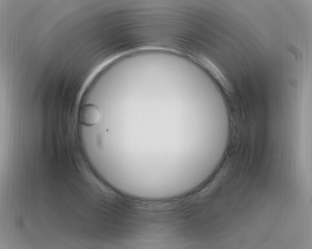 X0000115560884200911061145