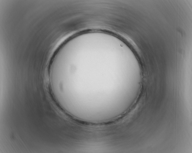 X0000115560887200911061145
