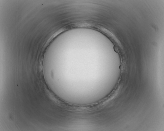 X0000115560889200911061145
