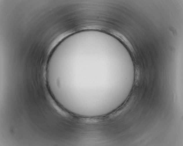 X0000115560890200911061145
