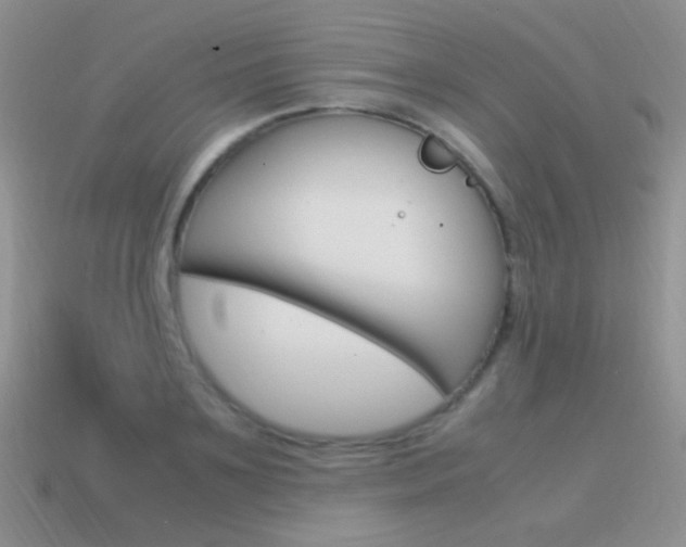 X0000115560891200911061145