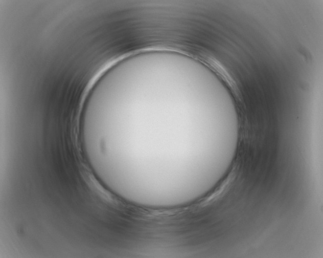 X0000115560892200911061145