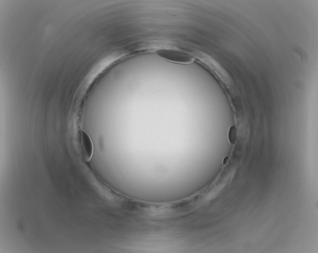X0000115560893200911061145
