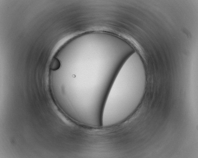 X0000115560894200911061145