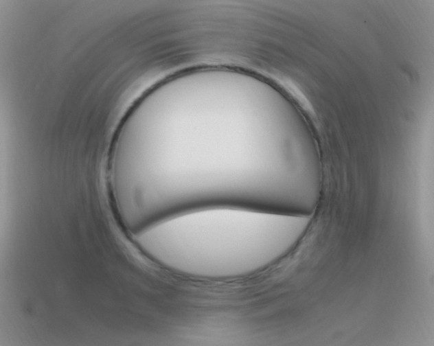 X0000115560895200911061145