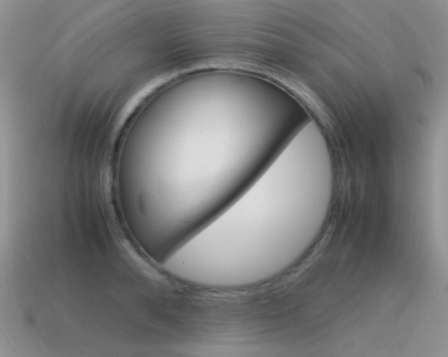 X0000115560896200911061145