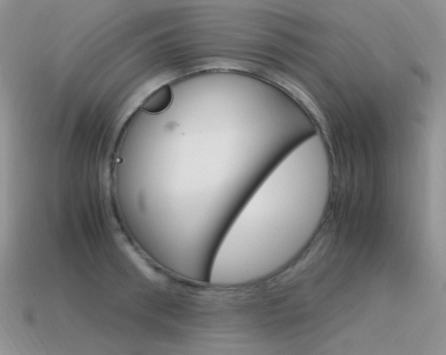 X0000115560898200911061145