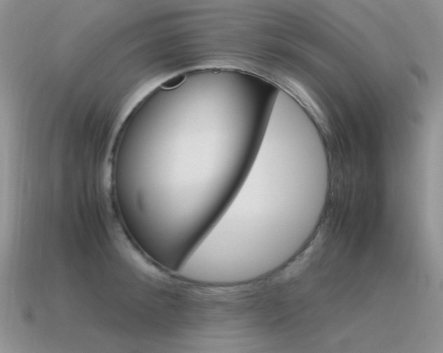 X0000115560900200911061145