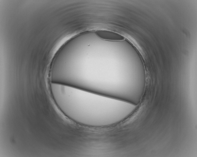 X0000115560901200911061145