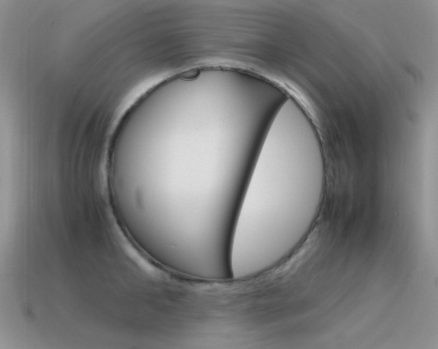 X0000115560902200911061145