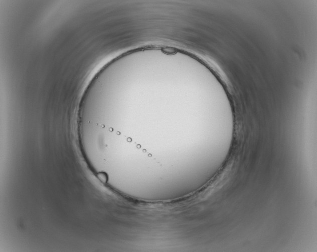 X0000115560903200911061145